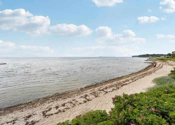 Amazing In With Wifi